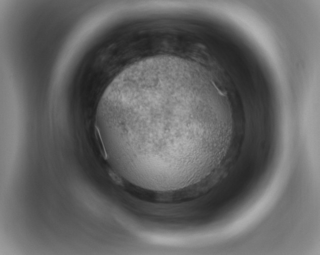 X0000115710766200911191249