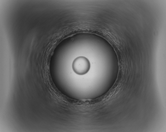 X0000115710769200911191249