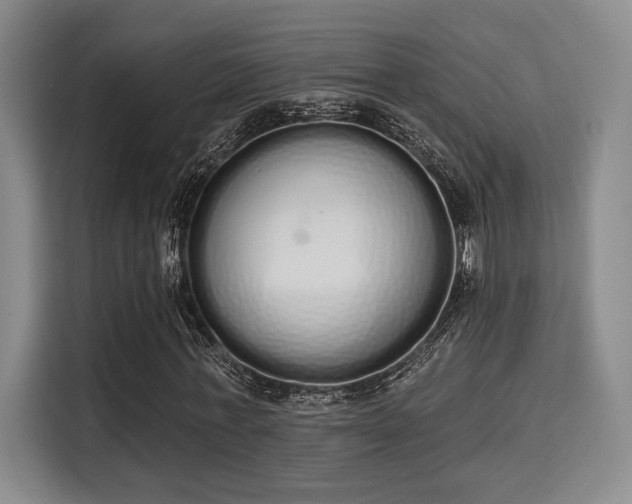 X0000115710771200911191249