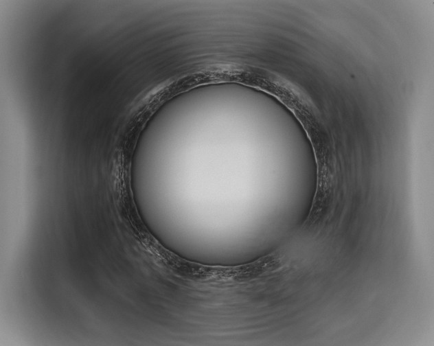 X0000115710773200911191249