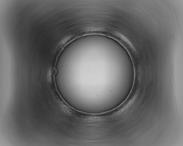 X0000115710777200911191249