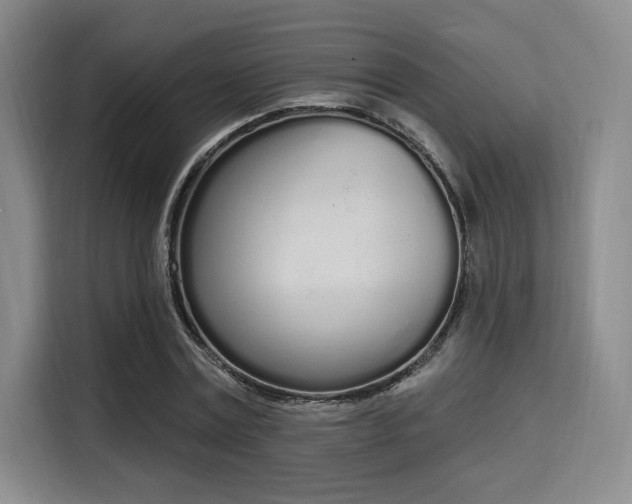 X0000115710779200911191249