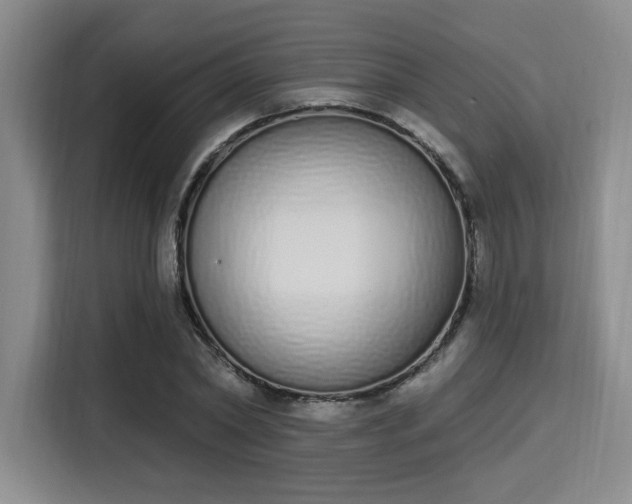 X0000115710782200911191249