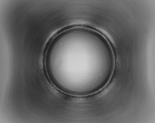 X0000115710783200911191249