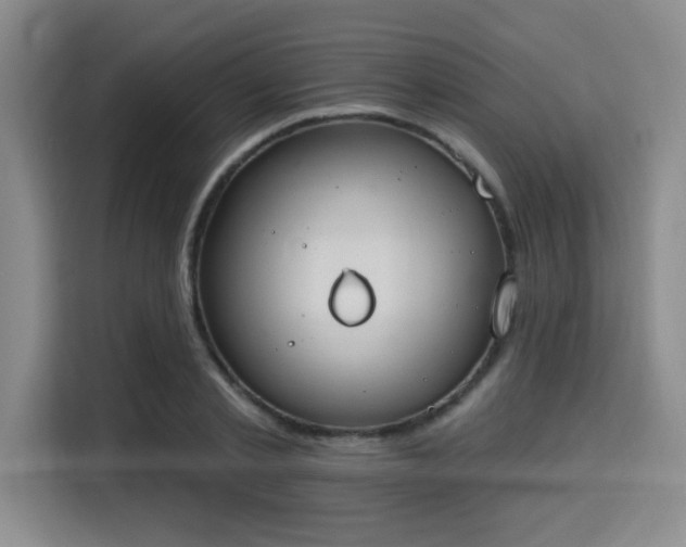 X0000115710789200911191248