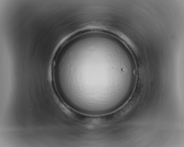 X0000115710791200911191248