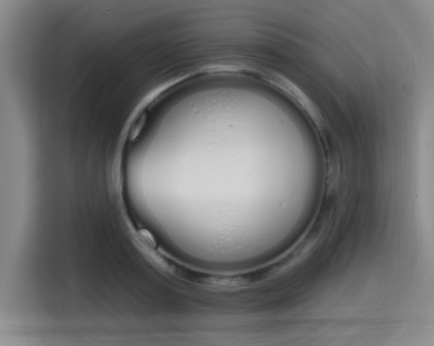 X0000115710795200911191248