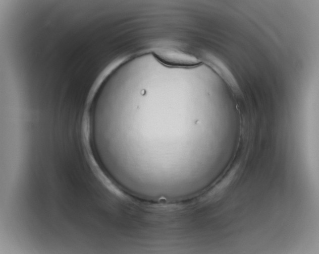 X0000115710804200911191248