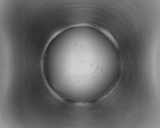 X0000115710805200911191248