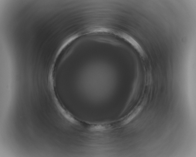 X0000115710806200911191248