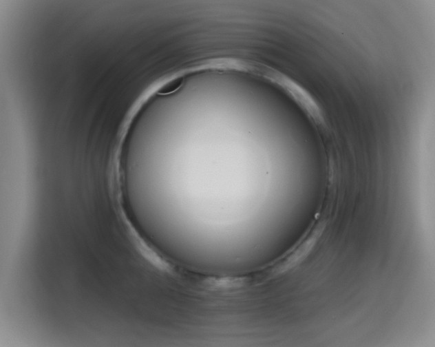 X0000115710808200911191248