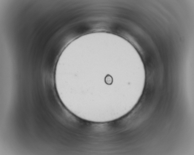 X0000115710810200911191248