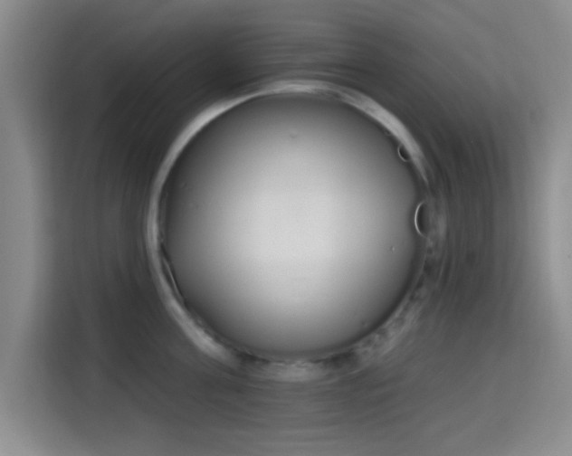 X0000115710811200911191248