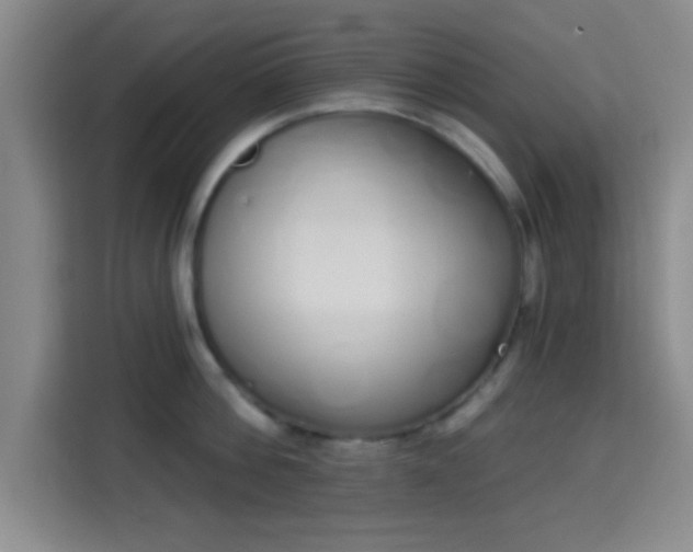 X0000115710812200911191248