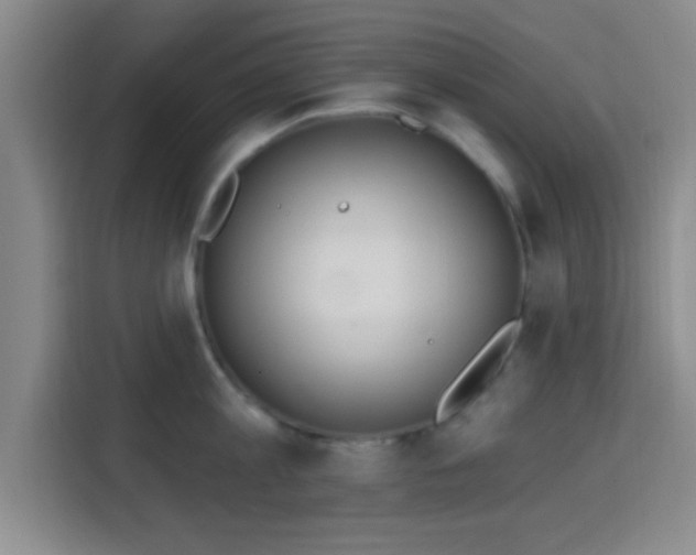 X0000115710813200911191248