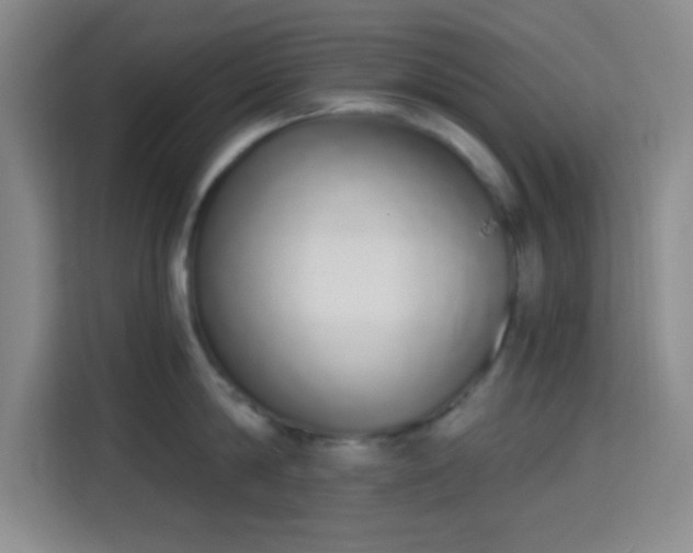 X0000115710814200911191248