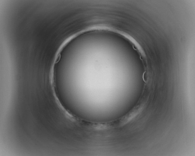 X0000115710815200911191248