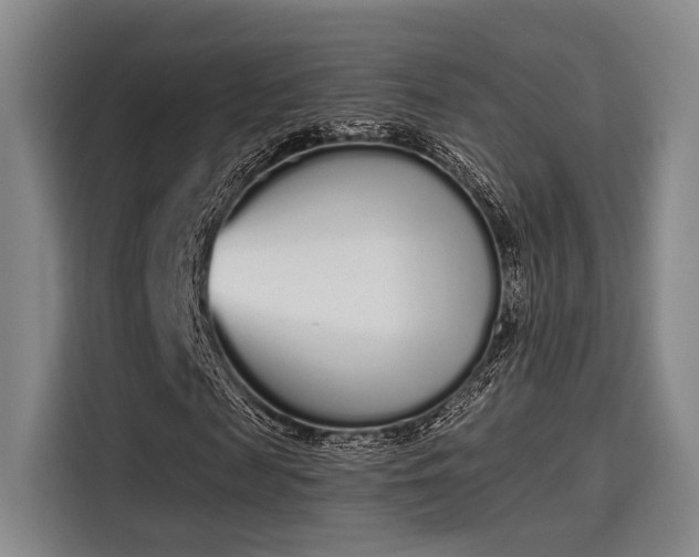 X0000115710817200911191248