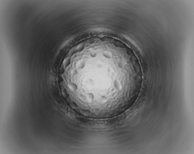 X0000115710823200911191248