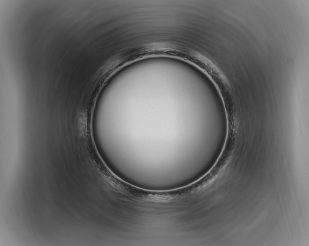 X0000115710825200911191248