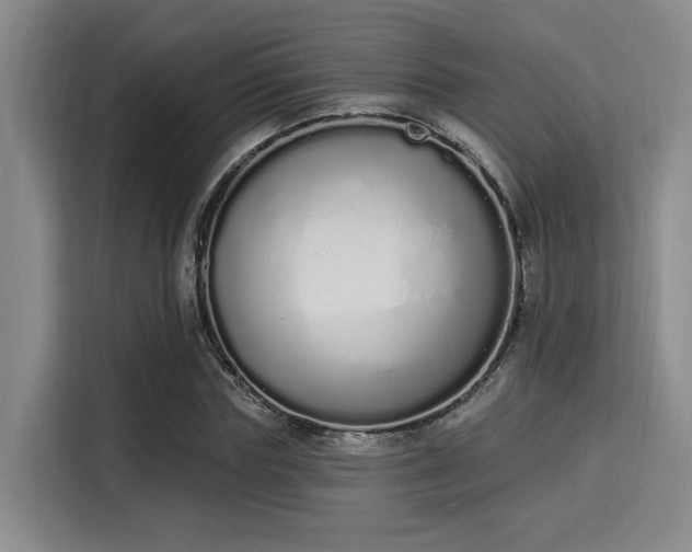 X0000115710827200911191248