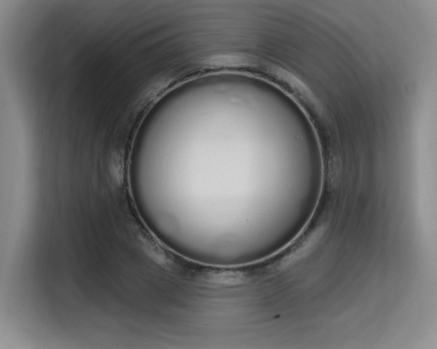 X0000115710833200911191248