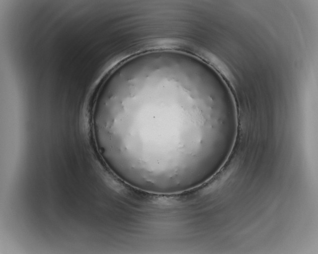 X0000115710835200911191248