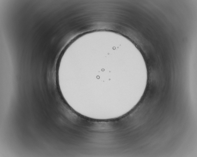 X0000115710836200911191248