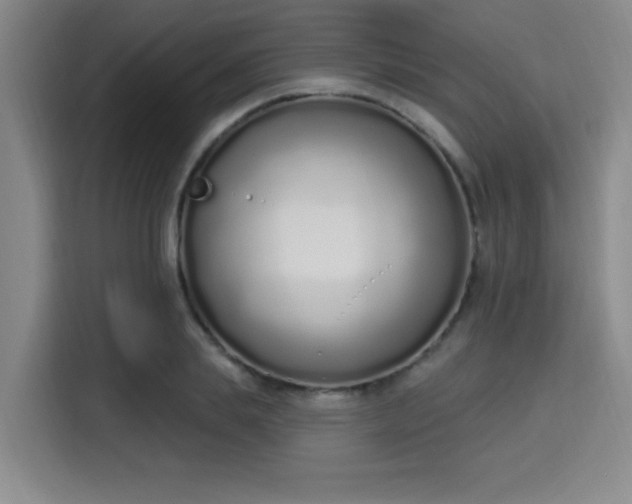 X0000115710839200911191248