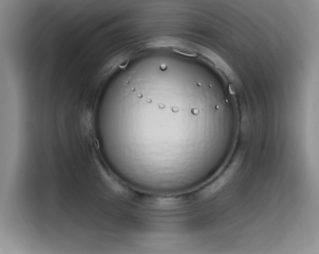 X0000115710849200911191248