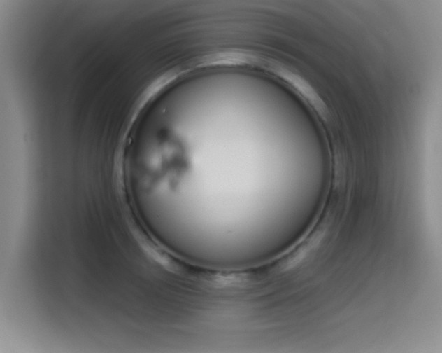 X0000115710850200911191248