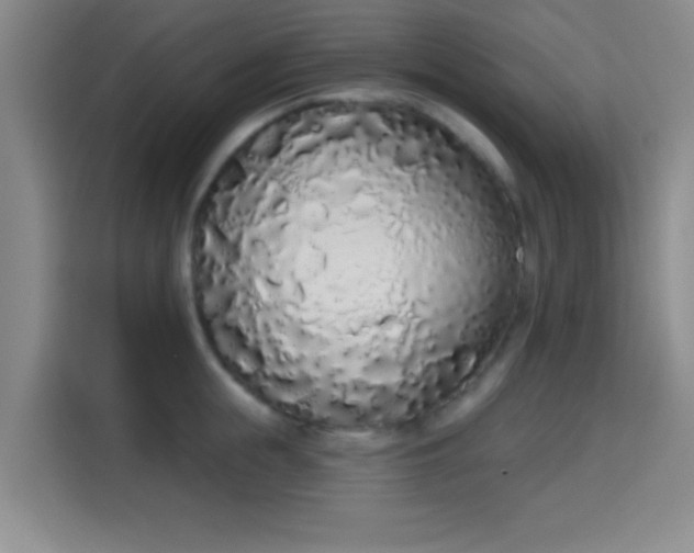 X0000115710855200911191248