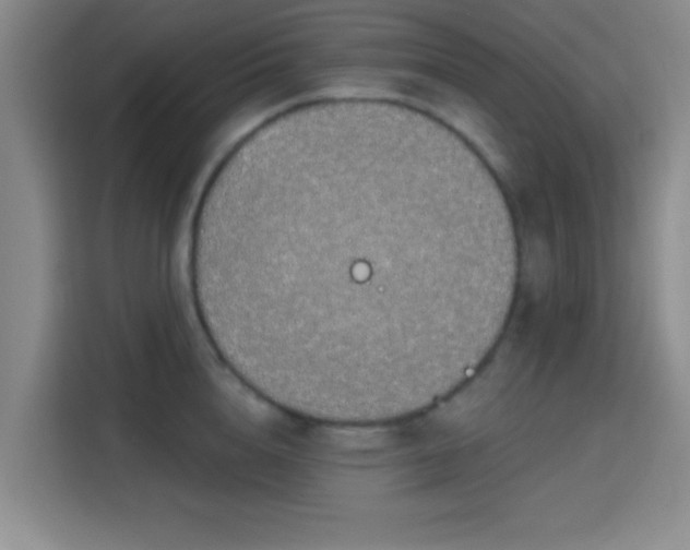 X0000115710856200911191248