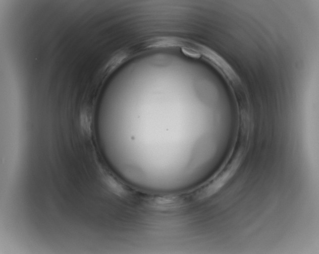 X0000115710857200911191248