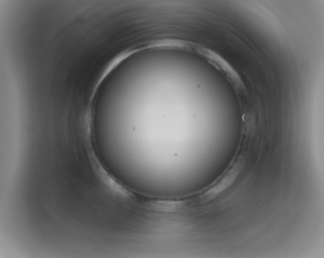 X0000115710860200911191248