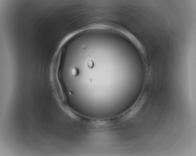 X0000115710862200911191248