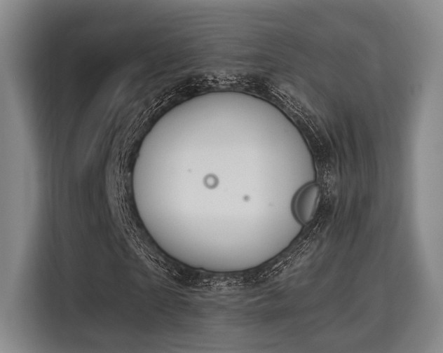 X0000115710865200911191248