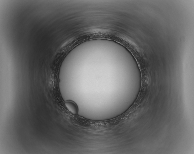 X0000115710869200911191247