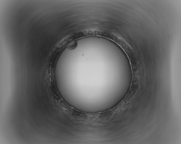 X0000115710870200911191247