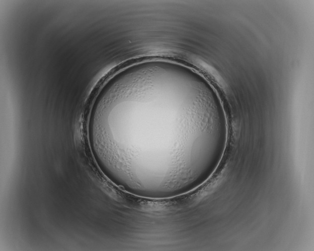 X0000115710875200911191247