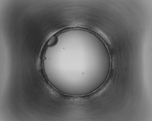 X0000115710876200911191247