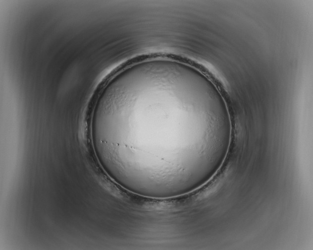 X0000115710879200911191247