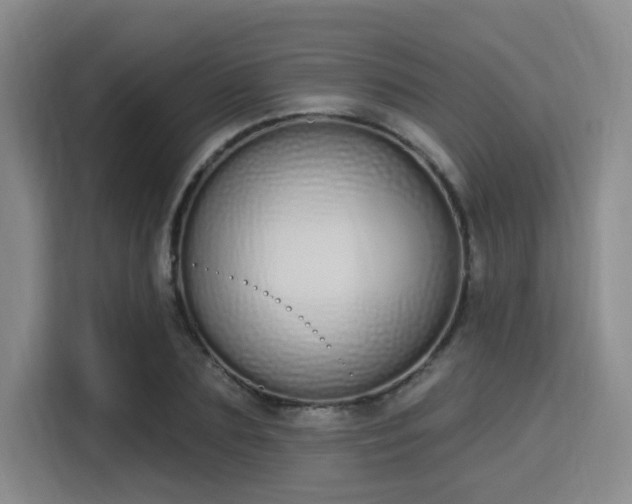 X0000115710883200911191247