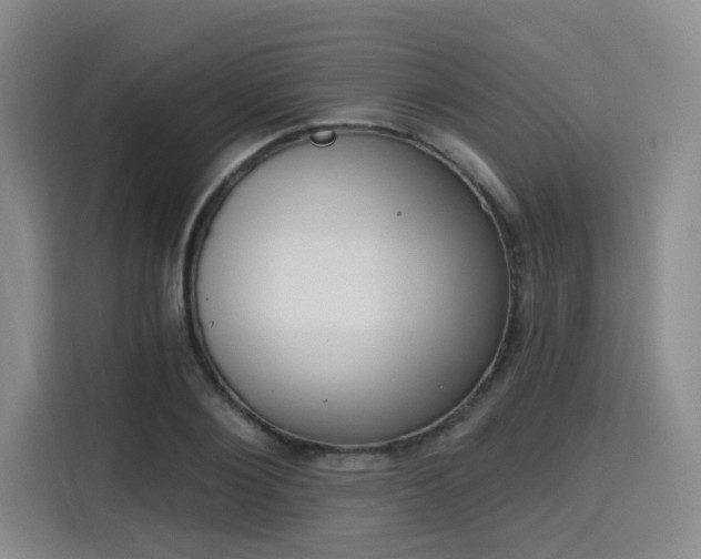 X0000115710884200911191247