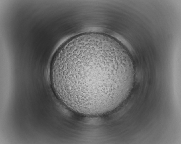 X0000115710886200911191247