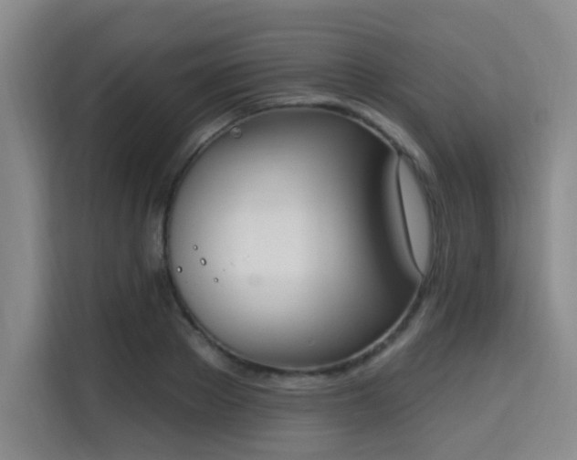 X0000115710889200911191247