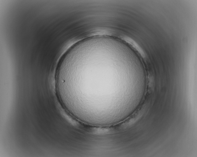 X0000115710890200911191247