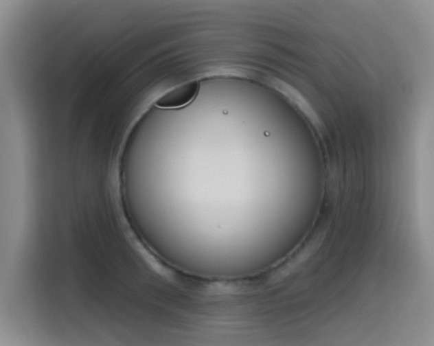 X0000115710898200911191247