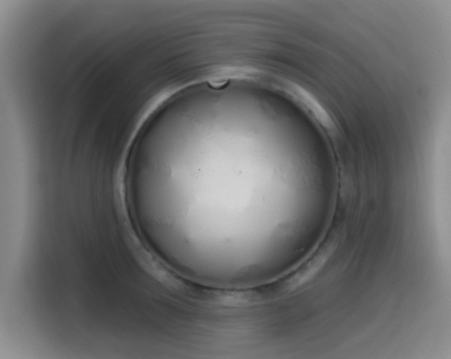 X0000115710899200911191247