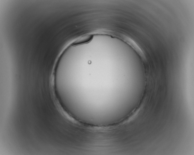 X0000115710900200911191247